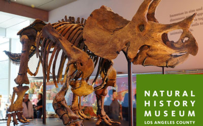 Save the Date April 7 Natural History Museum