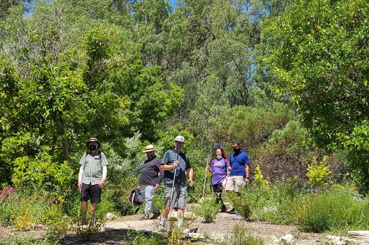 South Coast BG Trail string