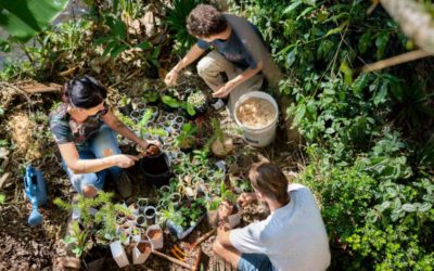 Community Garden