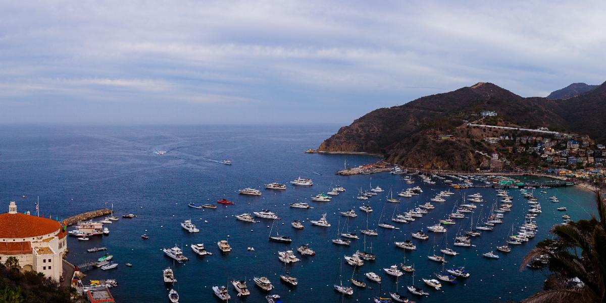 panoramic view from above of Catalina Island Bay with boats